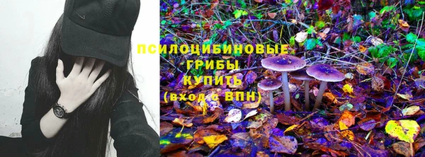 гидра Волосово