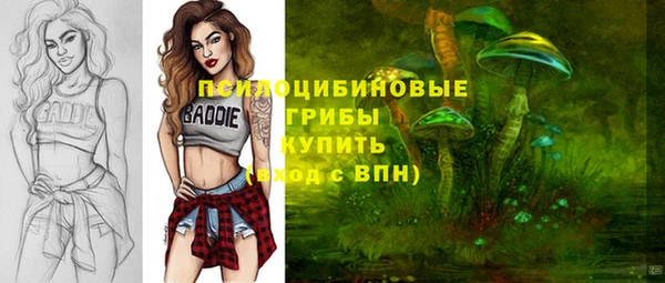 Альфа ПВП Володарск