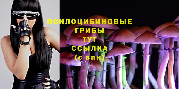 Альфа ПВП Володарск