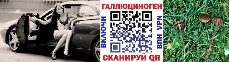 Галлюциногенные грибы прущие грибы  Купить закладки  Кувшиново 
